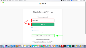 サインインパスワード入力画面（MacのSlackアプリ）