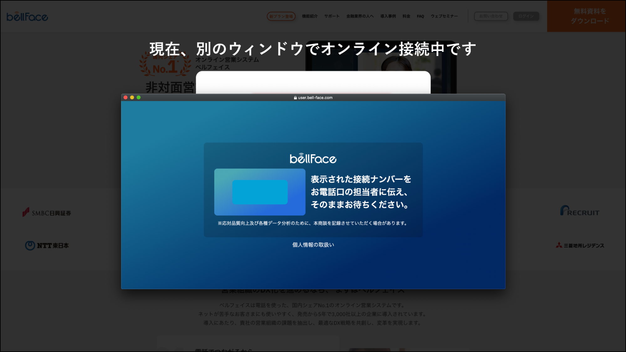 ベルフェイス_導入2