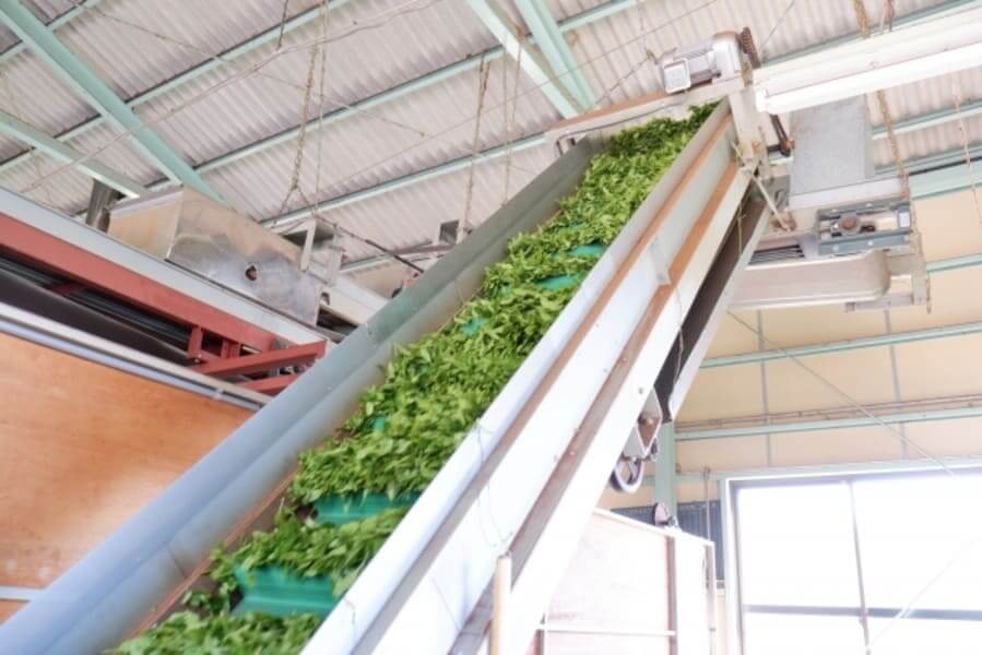 フードディフェンス_注目_背景